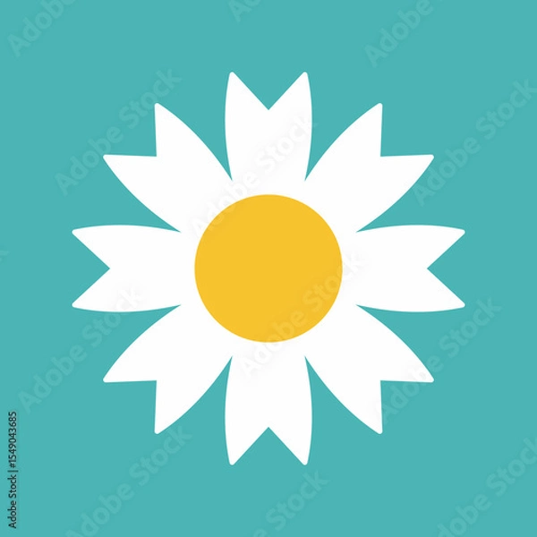 Obraz Flower icon. Retro spring summer white flower icon design. Camomile icon set. Cute round flower plant collection isolated on white background.