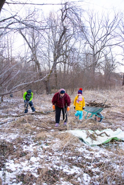 Fototapeta Helping hands gather wood for warmth during a chilly winter day in the woods, showcasing community spirit and teamwork among families and friends