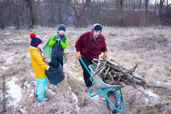 Fototapeta Family gathering sticks for firewood in a winter field while enjoying a chilly afternoon in the countryside, creating warmth together with teamwork and laughter