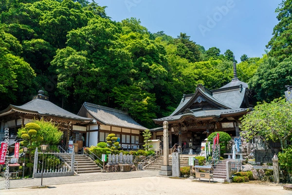 Obraz 新緑の大窪寺