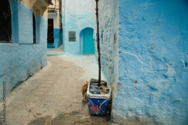 Obraz 青一色の街・モロッコのシャウエンの美しい街並み