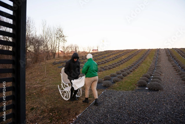Fototapeta Two individuals engaging in conversation on a chilly evening at a lavender farm, surrounded by neatly arranged lavender plants and bare trees in the background