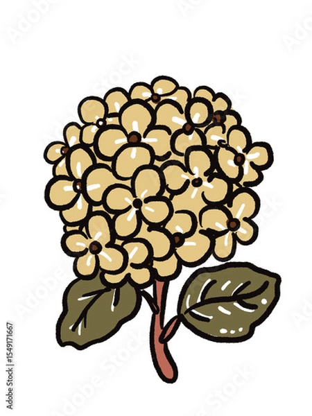Obraz money tree with coins