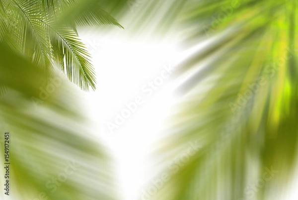 Obraz Palm leaf on white background