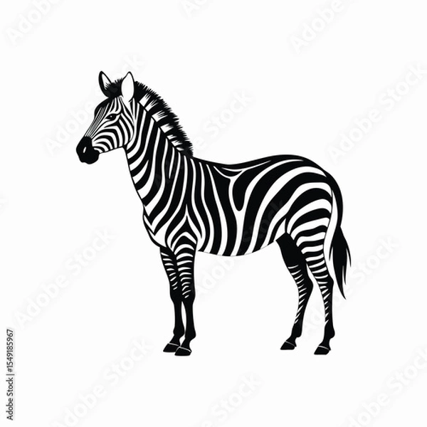 Fototapeta "Zebra Vector Illustration – Black and White Animal Clipart Design"