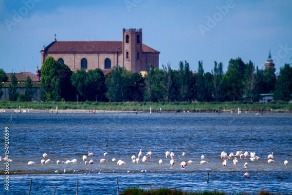 Obraz comacchio regional park po delta lagoon for eel fishing and wildlife reserve