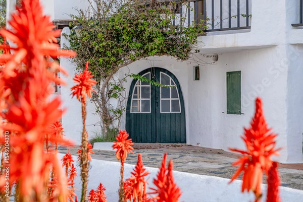 Fototapeta Vivid Red Flowers Framing Arched Green Door in Binibeca Vell. Menorcan Whitewashed Architecture, Coastal Village Charm, Bright Summer Day