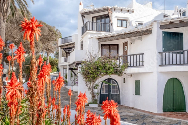 Fototapeta Striking Red Flowers Against Whitewashed Architecture in Binibeca Vell. Menorcan Coastal Village, Traditional Buildings, Arched Doors, ideal for travel and architectural marketing