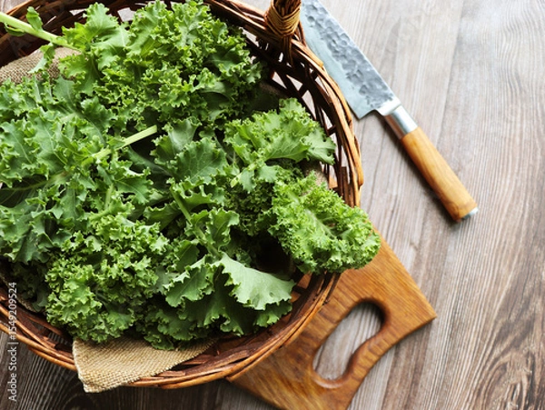 Fototapeta Fresh green curly kale leaves on a wooden table. Selective focus. Rustic style. Healthy vegetarian food 