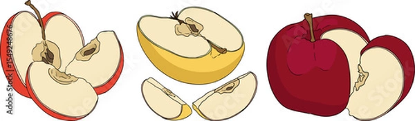 Obraz Colorful apples, perfect for educational or botanical designs. High quality illustration.