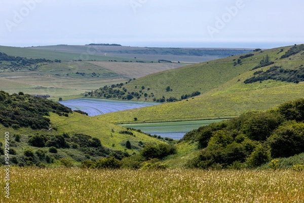 Obraz Looking down from Kingston Ridge in Sussex at flax fields at Balsdean Bottom, with the ocean beyond
