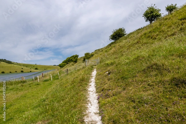 Obraz Looking along a chalk pathway running alongside farmland in Sussex