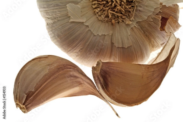 Fototapeta fioletowy czosnek