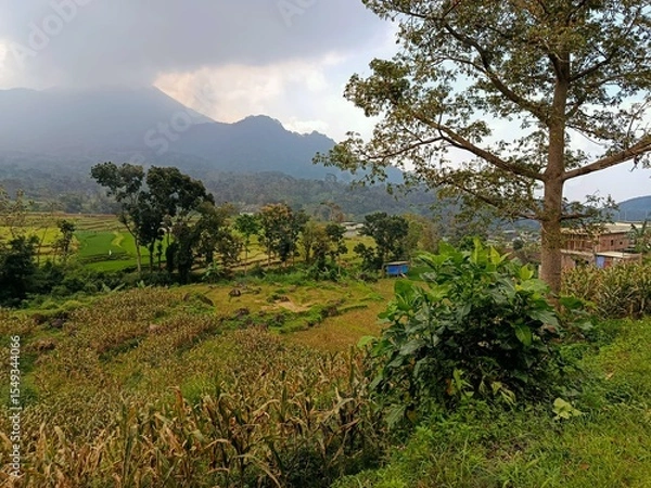 Obraz clouds over the mountain