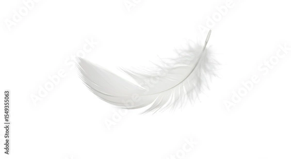 Fototapeta  A soft white feather with fine details and light shadow, floating mid-air, isolated on white background.