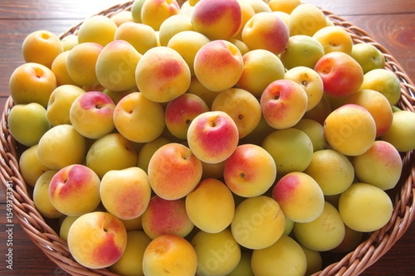 Obraz 複数の梅　完熟梅　梅の季節