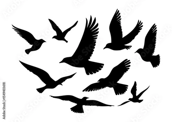 Obraz 鳥シルエット