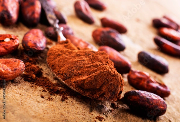 Obraz Chocolate beans that have been dried in the sun and are ready to be produced