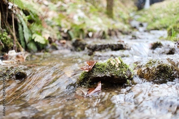 Fototapeta Stone covered with moss in a stream with flowing water