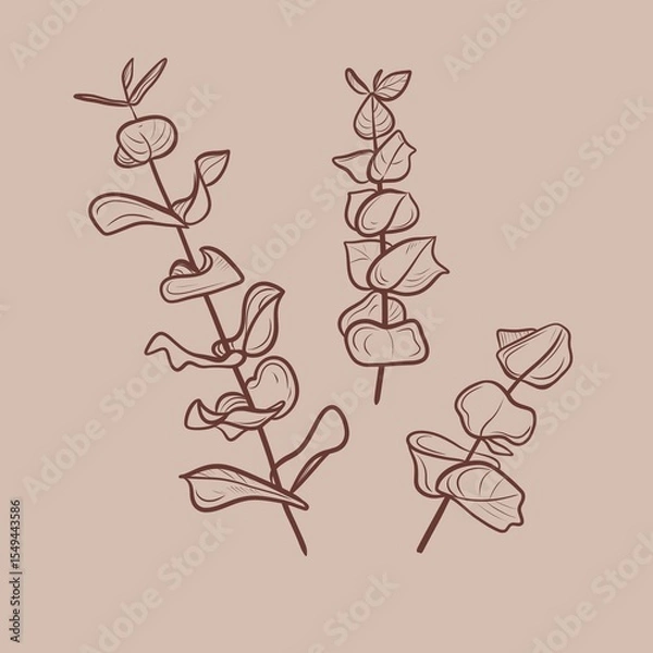 Fototapeta Eucaliptus Minimal design for card beige background. Botanical continuous line drawing. Botanical illustration