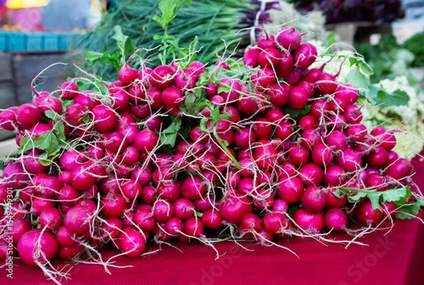 Fototapeta Fresh raw radishes at a local farmer's market on a red table cloth; copy space