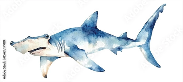 Fototapeta Fish Hammer, Hammerhead shark watercolor vector illustration, underwater ocean animal art isolated on white background