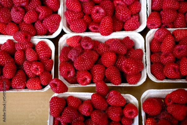 Fototapeta Close-up of vibrant raspberries in rectangular cardboard trays, emphasizing freshness and rich red color.