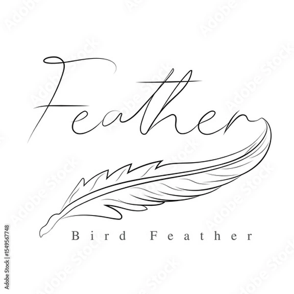 Obraz Bird Feather vector.eps