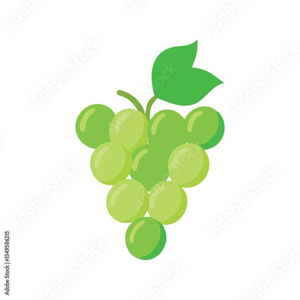 Fototapeta Fresh Green Grape Bunch with Single Leaf Vector Icon