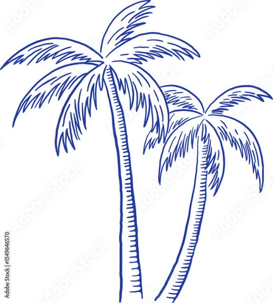 Obraz Hand draw palm tree vector illustration. Summer beach vacation clipart in sketch style