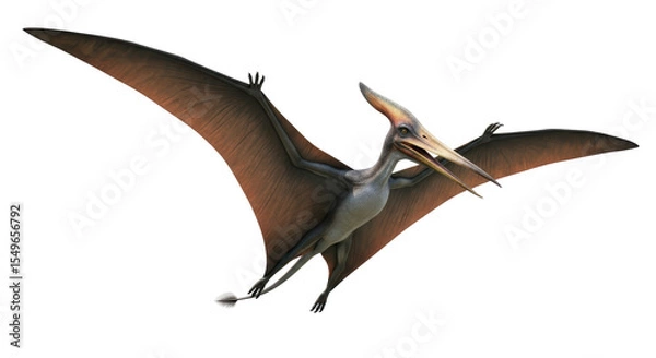 Obraz Isolated Pterodactyl Dinosaur Flying