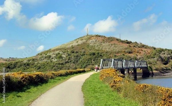 Obraz Iron railway bridge on the Camel Trail now used as a leisure route for cyclists and walkers