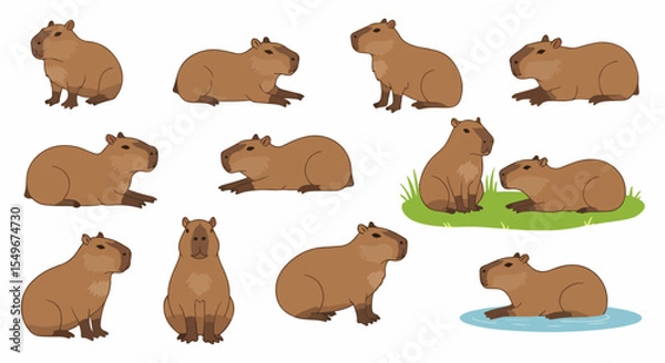 Obraz Capybara Hydrochoerus hydrochaeris illustration set. Capybara poses collection shows rodent in various positions.  Capybara image set ideal for children's book, nature encyclopedia,