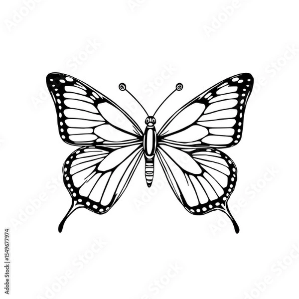 Fototapeta Elegant Butterfly Line Art: A detailed black and white illustration showcases a graceful butterfly with intricate wing patterns, perfect for design projects.