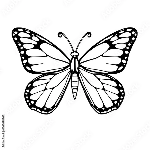 Fototapeta Monarch Butterfly Line Art: A striking monochrome illustration of a monarch butterfly, showcasing its detailed wing patterns in elegant black ink lines against a white background.