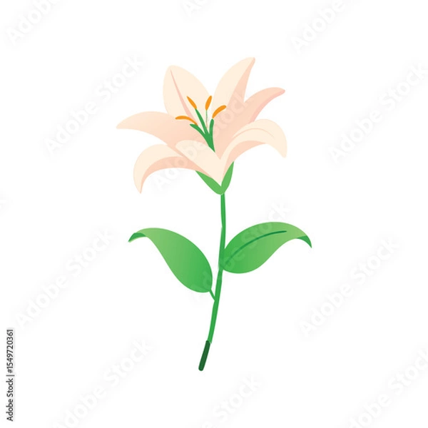Fototapeta Lily flower flat minimal vector illustration, elegant floral icon, simple botanical spring design

