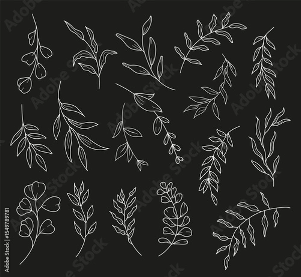Fototapeta Hand drawn white botanical line art illustration of eucalyptus branches and herbs on the black background. Minimalist vector floral clipart set for natural, elegant, and decorative design projects.