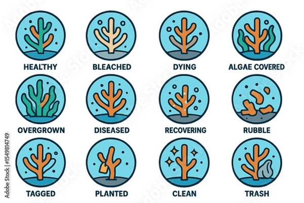 Fototapeta Coral health and environmental impact icons depicting various states and conditions