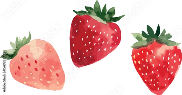 Obraz watercolour drawn strawberry