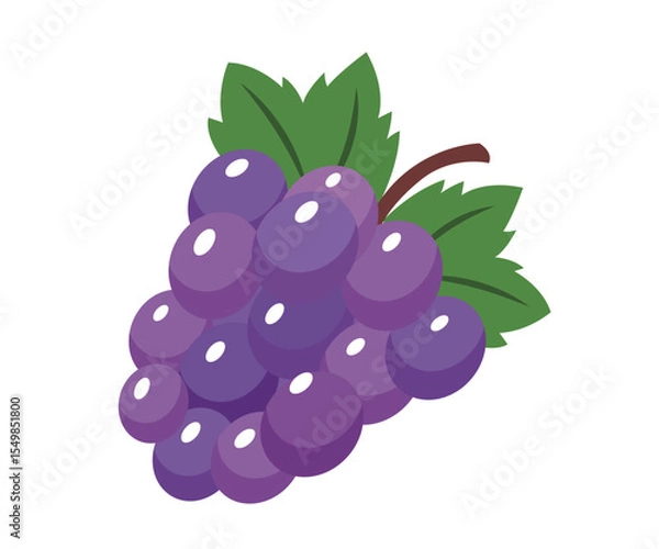 Obraz Grapes vector illustration. flat design