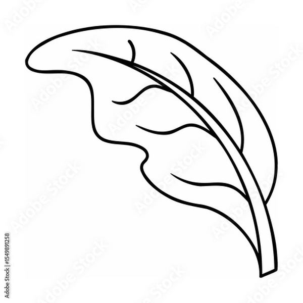 Fototapeta Single Black Line Drawing of a Leaf vector