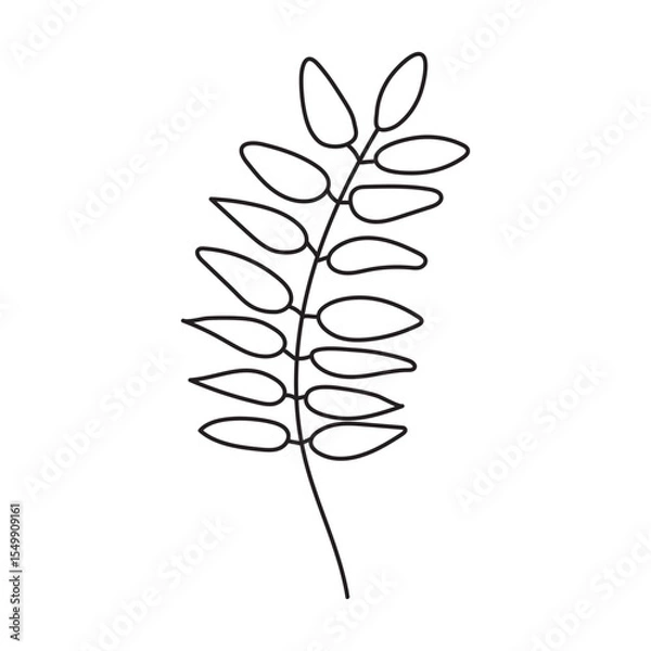 Fototapeta Simple Line Art Illustration of a Branch with Leaves.Rowan leaf.
