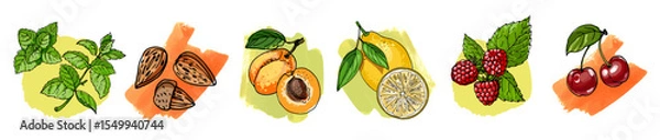 Obraz Hand Drawn Vector Set – Berries, Fruits, Spices and Coffee Beans