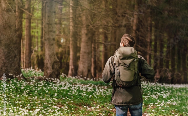 Obraz Man Walking through Blooming Forest Glade