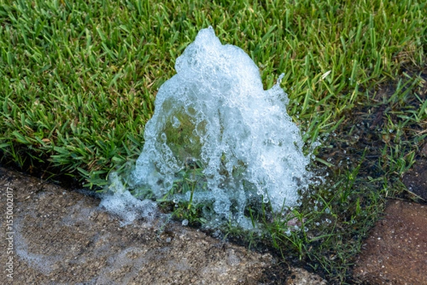 Obraz Broken Sprinkler Head Bubbling Up in Yard