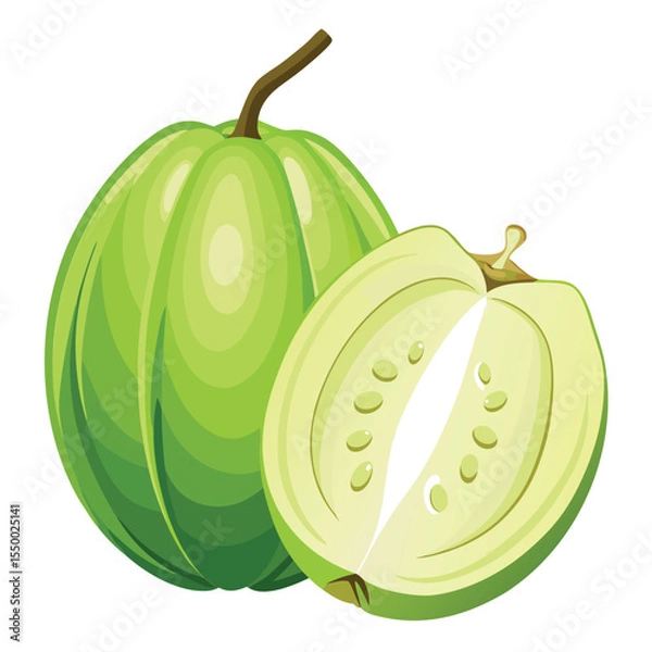 Obraz Fresh and juicy green guava fruit vector illustration showing whole and a half cut