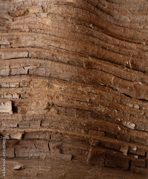 Fototapeta tree bark texture