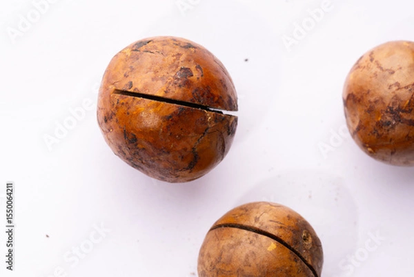 Fototapeta Macadamia close-up