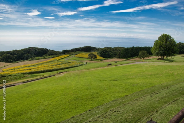 Fototapeta A hill with a panoramic view.  Hanazashiki Awaji Island, Hyogo
