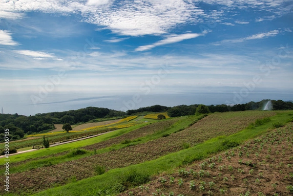 Fototapeta A hill with a panoramic view.  Hanazashiki Awaji Island, Hyogo
